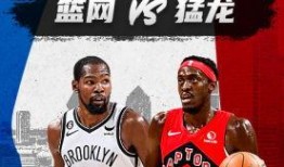 在线观看猛龙,激情对决，篮球盛宴再现