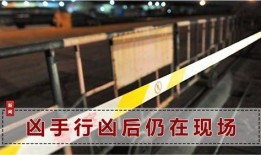 湖北网友爆料新闻视频播放,新闻视频引发热议